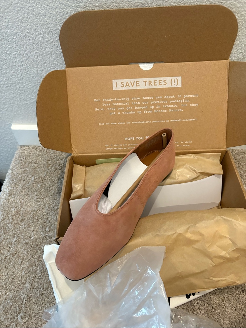 New in Box Madewell Mylie Ballet Flats
